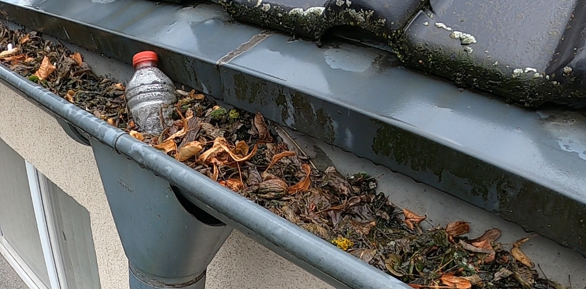 Dachrinnenreinigung