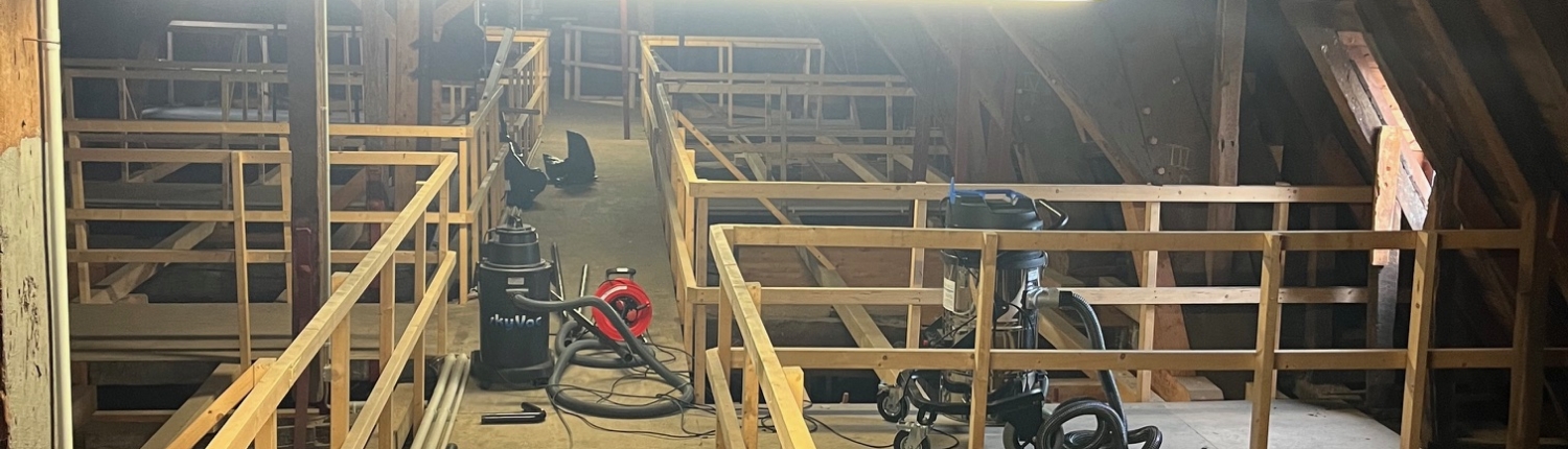 Dachrinnenreinigung