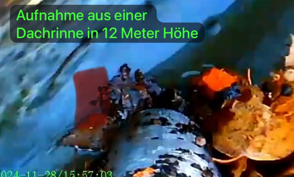 Dachrinnenreinigung