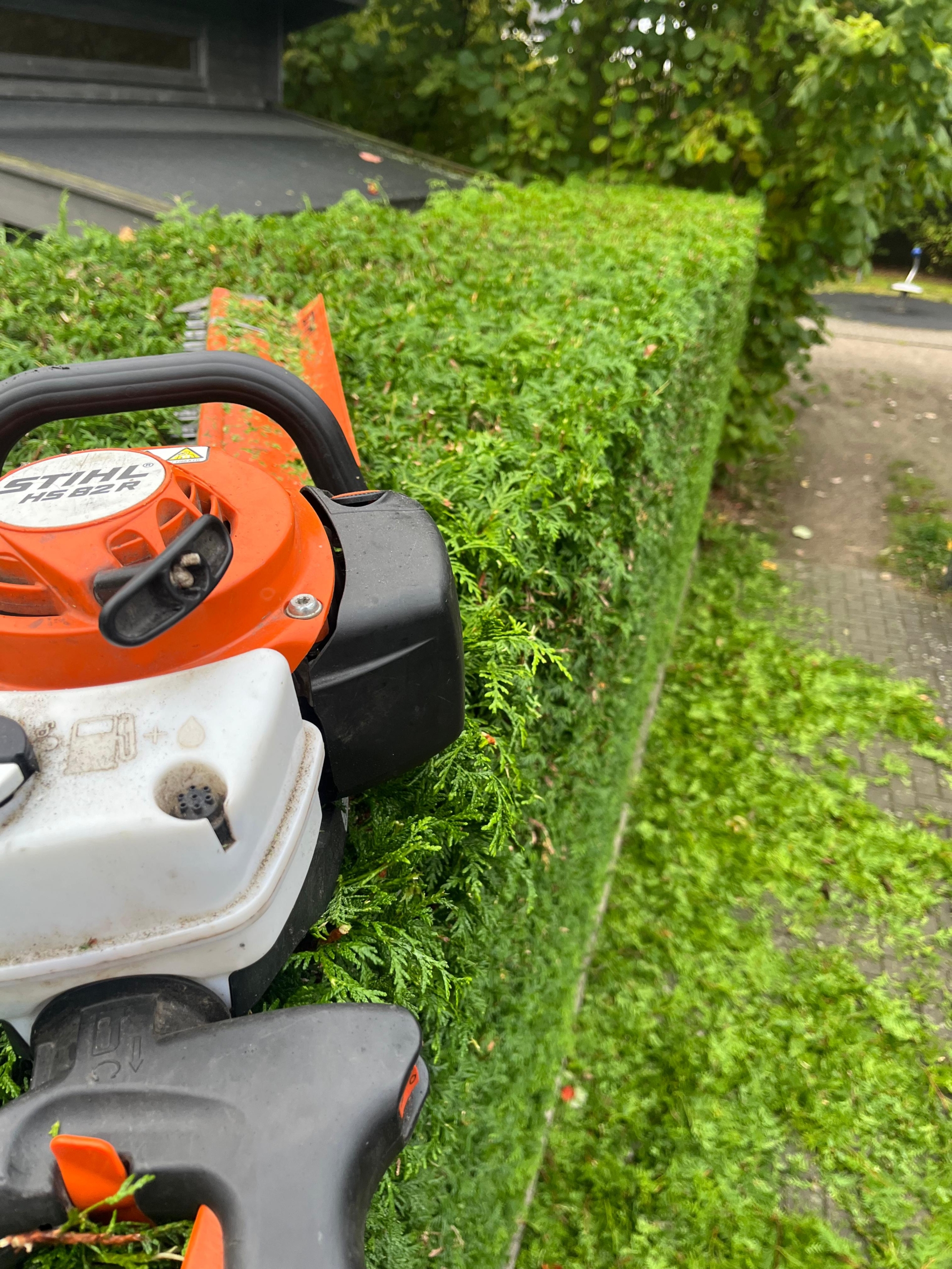 Preise 1 Dachrinnenreinigung