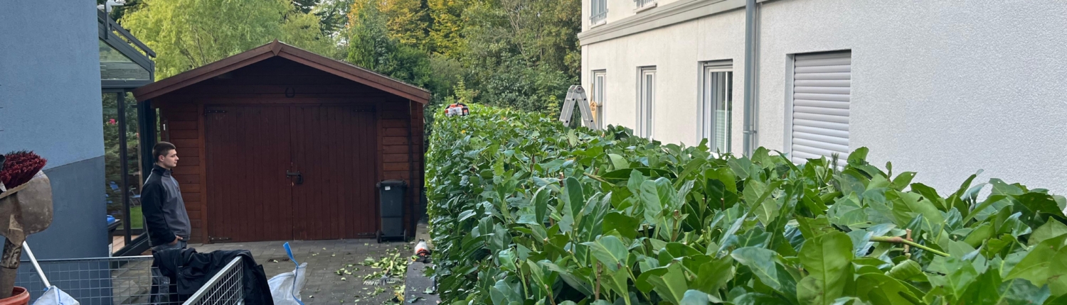 Startseite 2 Dachrinnenreinigung