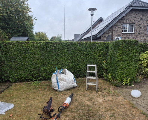Dachrinnenreinigung