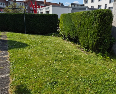 Dachrinnenreinigung