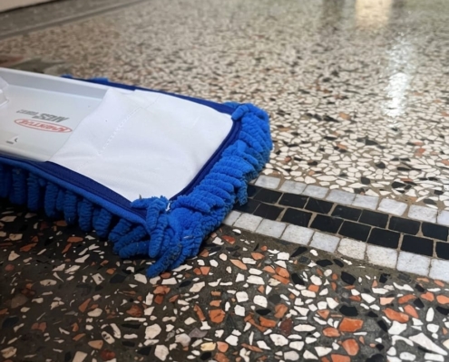 Dachrinnenreinigung